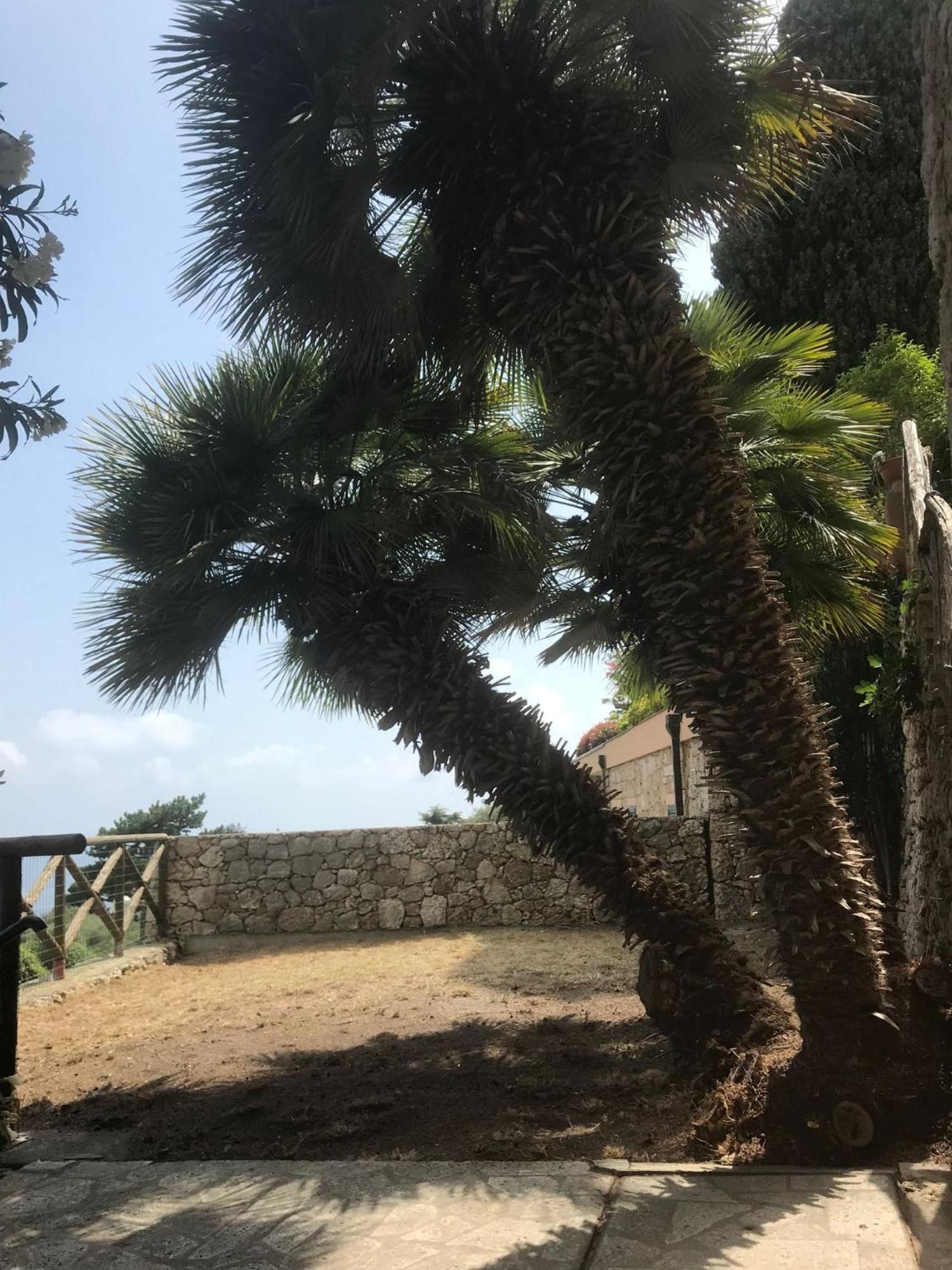 La Cita Ca - Vista Mare Lägenhet Finale Ligure Exteriör bild